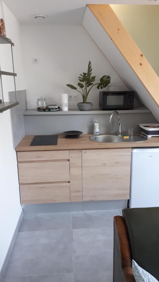 Appartement le Chartreuse / Rent4night Grenoble Extérieur photo